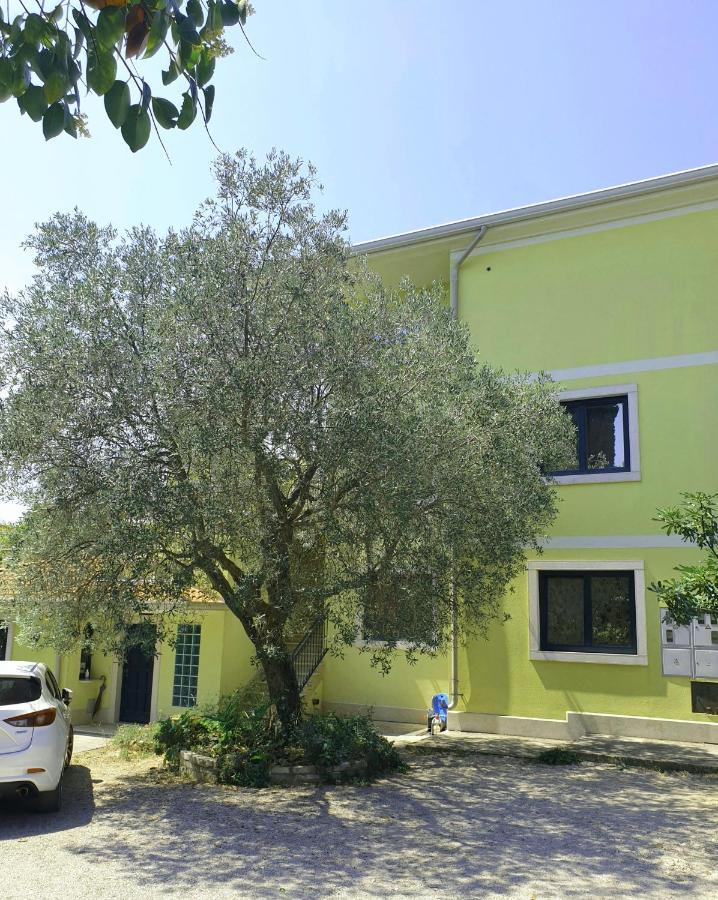 Apartments Adri, Parking In The Yard Ρόβινι Εξωτερικό φωτογραφία